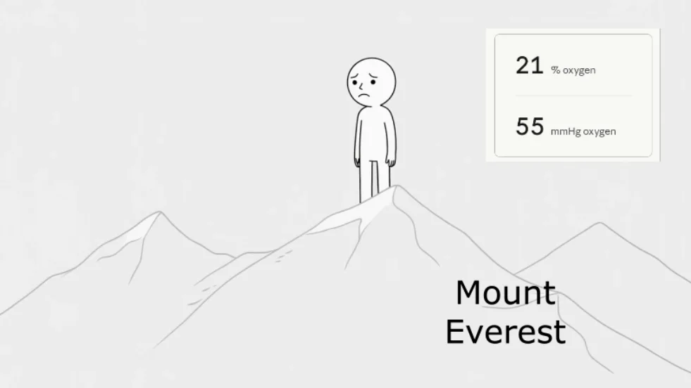 HypoxyLab is the only workstation that compensates for the fact that oxygen availability (the partial pressure of oxygen) varies with altitude and meteorological conditions!
